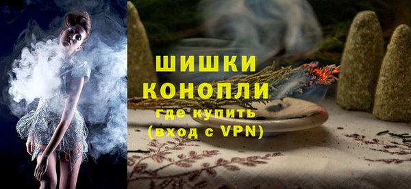 прущие крисы Бородино