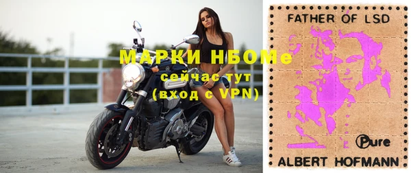 прущие крисы Бородино
