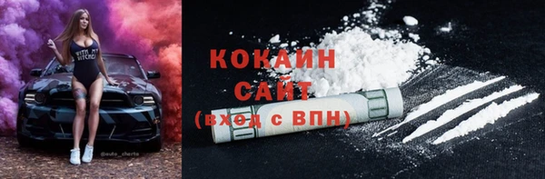 прущие грибы Богородск