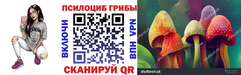 дарк нет официальный сайт  Горняк  Псилоцибиновые грибы Psilocybine cubensis 